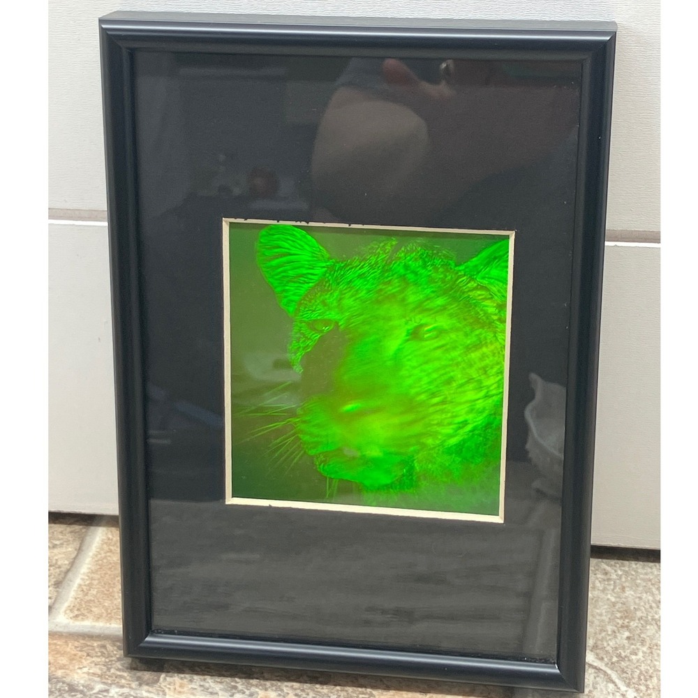 Vintage 3D Green Hologram Lion Art Framed 5x7 Nielsen Metal Frame Retro Safari
